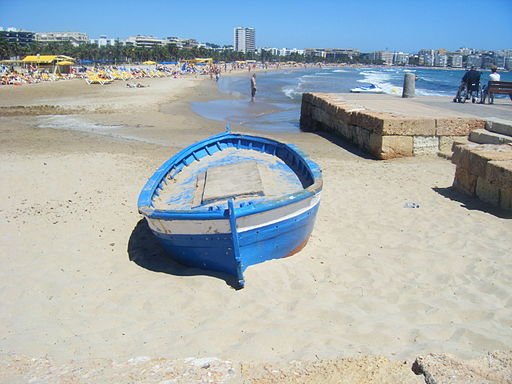 photo by CC user Andy C on wikimedia