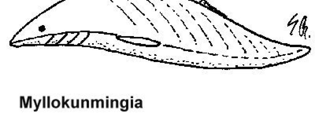 postimg